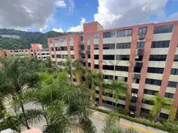 Vista 17