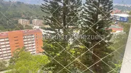 View 15