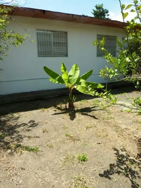 Casa (1 Nivel) en Venta en La Playa, Anzoategui - 7