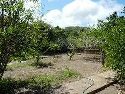 View 8
