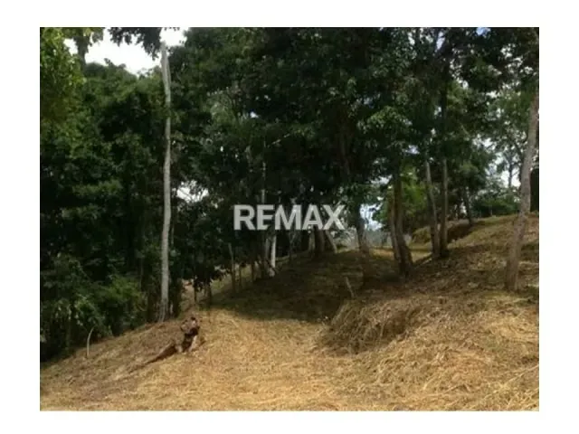 Terreno en Venta en Sabaneta El Hatillo, Caracas - 4