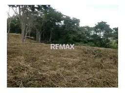 View 7