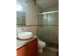 Vista 15
