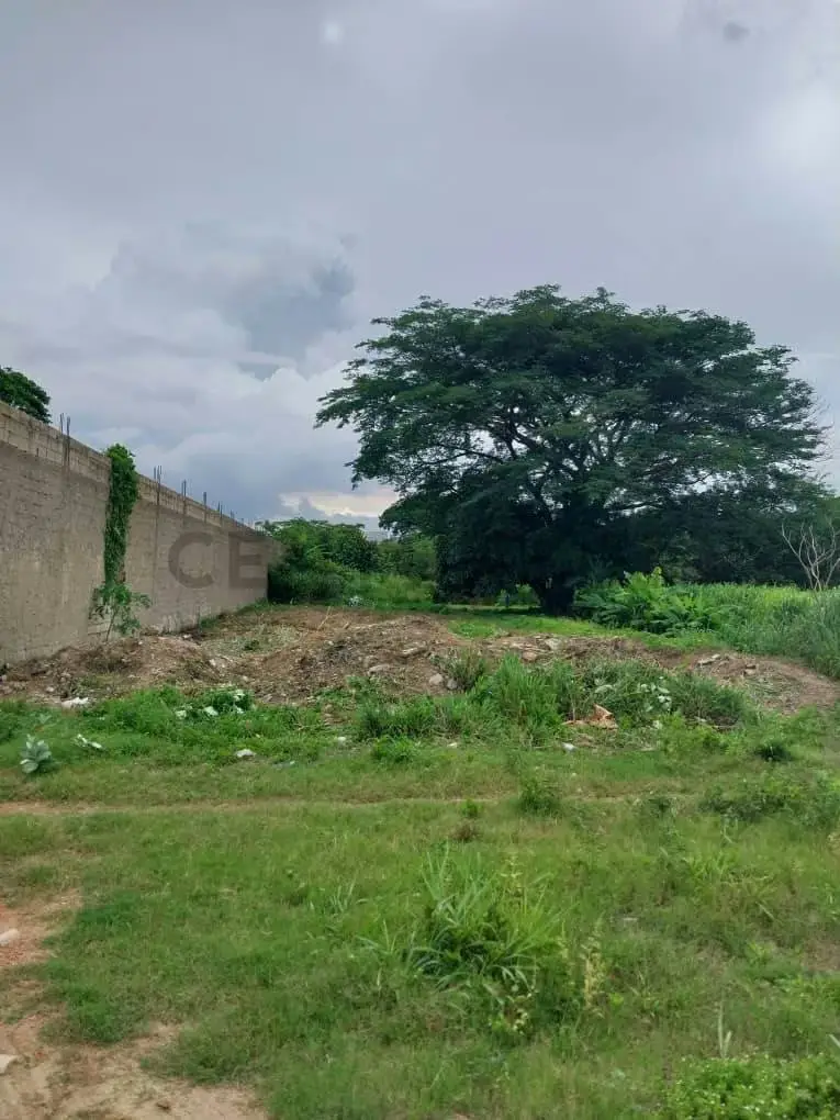 Terreno en Venta