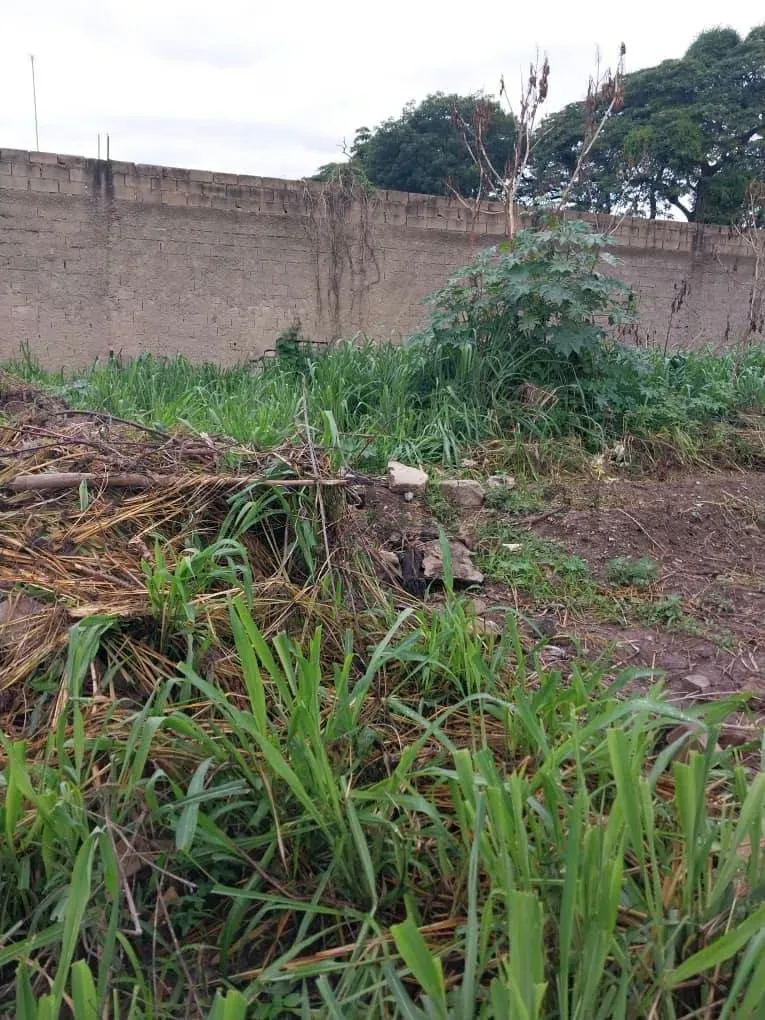 Terreno en Venta - 4