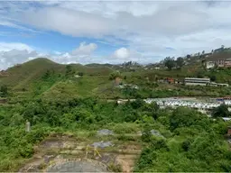 Vista 14