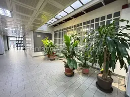 Vista 1