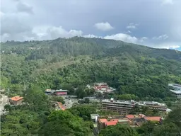Vista 24