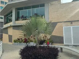 Vista 10