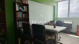 Vista 5