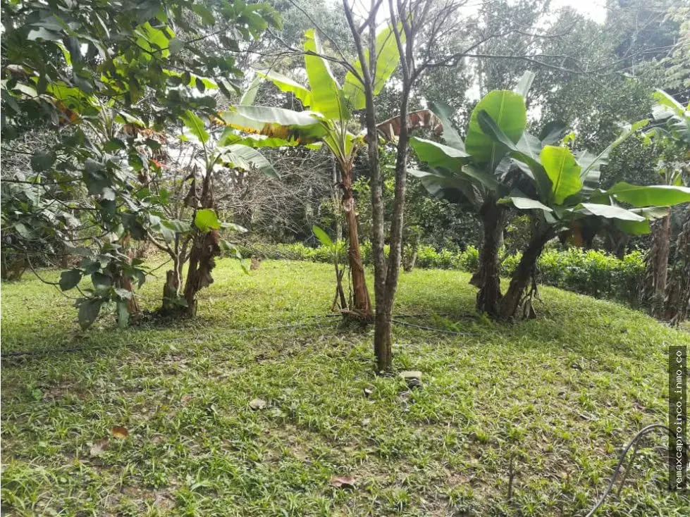 Casa en Terreno Ecológico Fundo El Chuponal C-891379