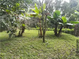 View 1