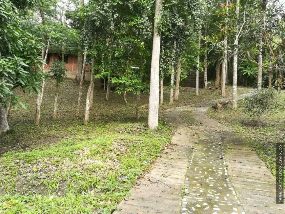 Casa en Terreno Ecológico Fundo El Chuponal C-891379 - 2