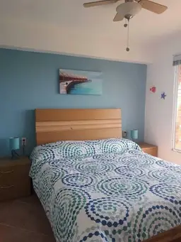 Vista 25