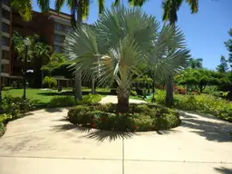 Vista 5