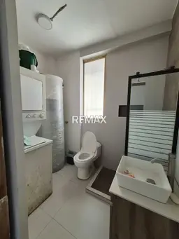 Vista 15