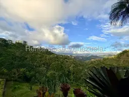 View 30