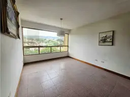 Vista 15
