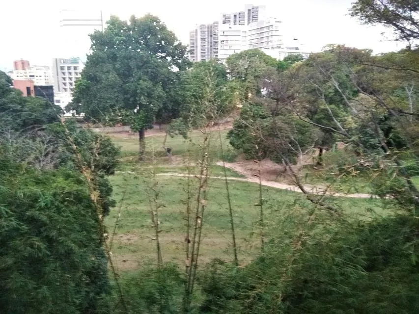 Apartamento (1 Nivel) en Alquiler en Campo Alegre, Distrito Metropolitano - 15