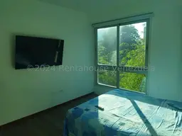 Vista 17