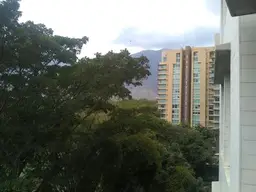 Vista 37