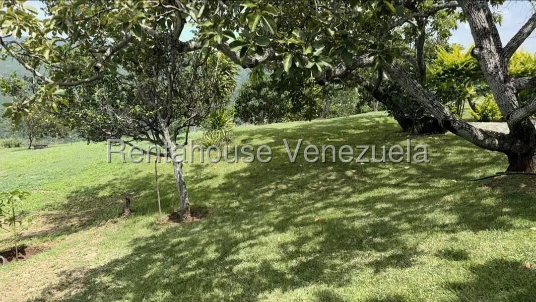 Terreno (Comercial) en Venta en El Manzano, Lara - 11