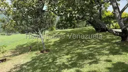 Vista 11