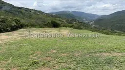 Vista 12