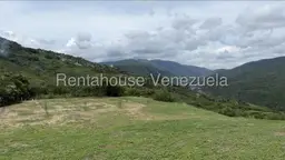 Vista 13