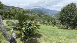 Vista 14