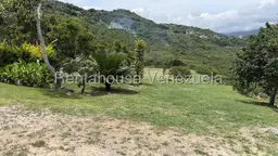 Vista 16
