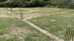 Vista 4