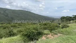 Vista 6
