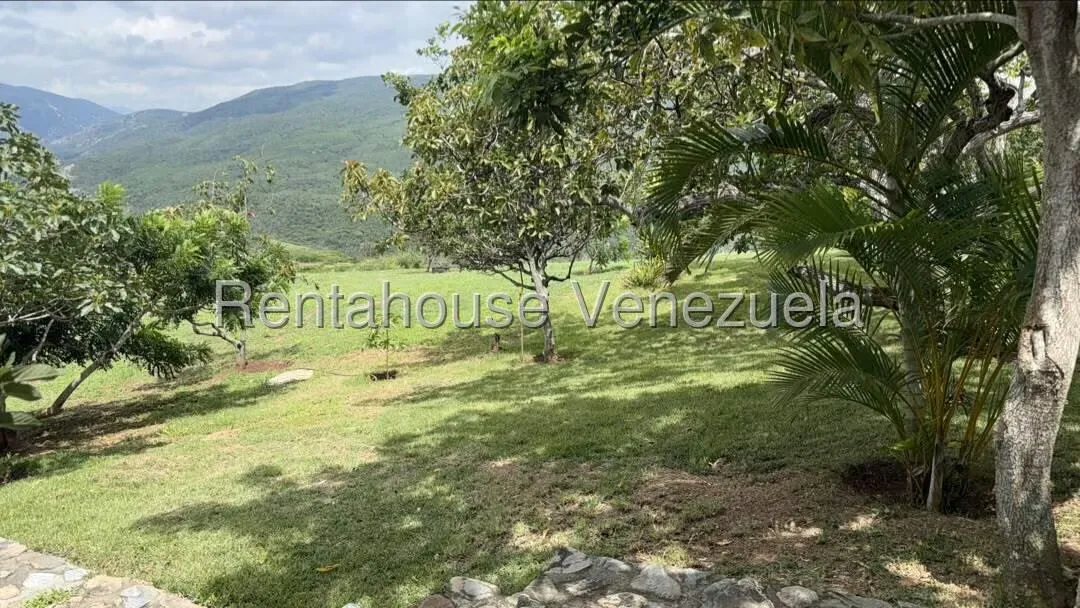 Terreno (Comercial) en Venta en El Manzano, Lara - 10