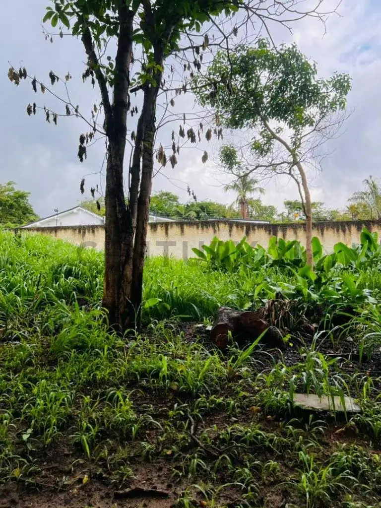 TERRENO EN COLINAS DE GUATAPARO