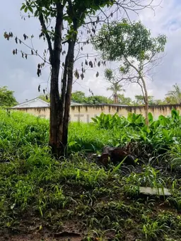 Vista 1
