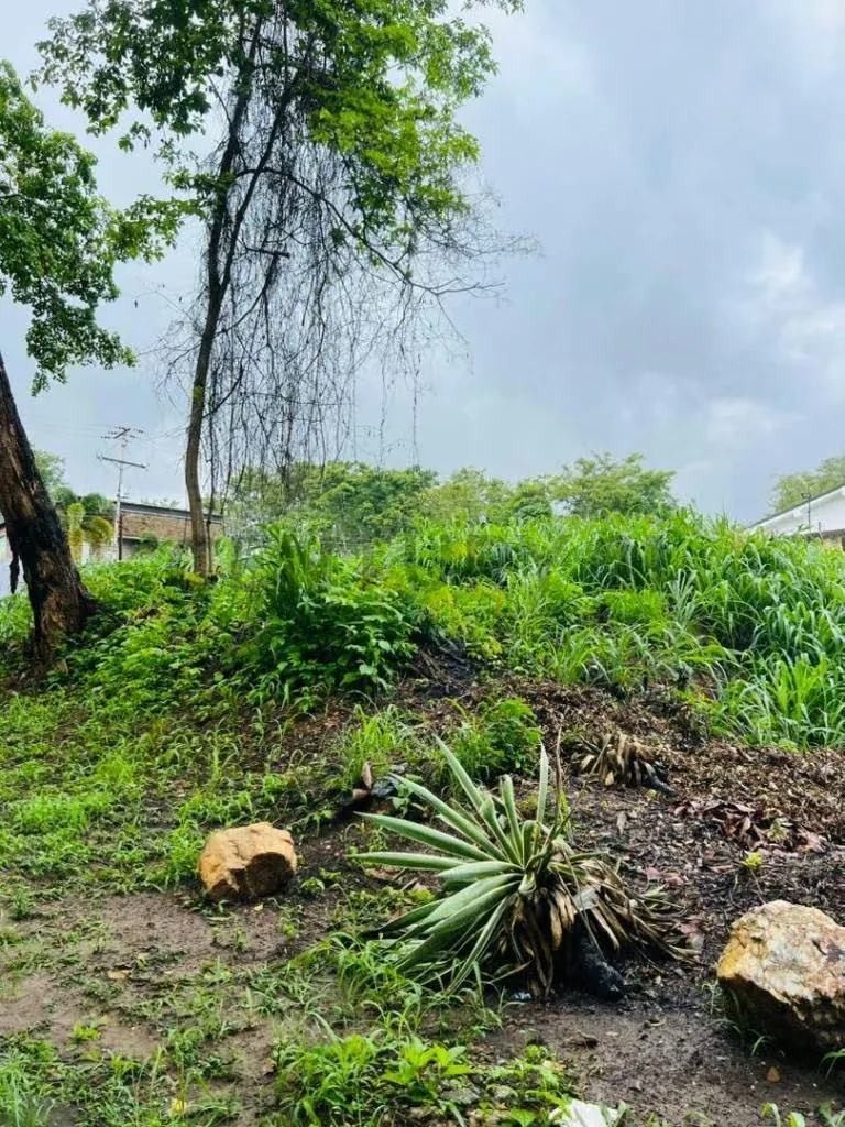 TERRENO EN COLINAS DE GUATAPARO - 2