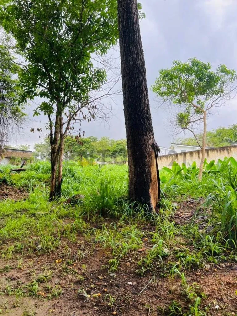 TERRENO EN COLINAS DE GUATAPARO - 3