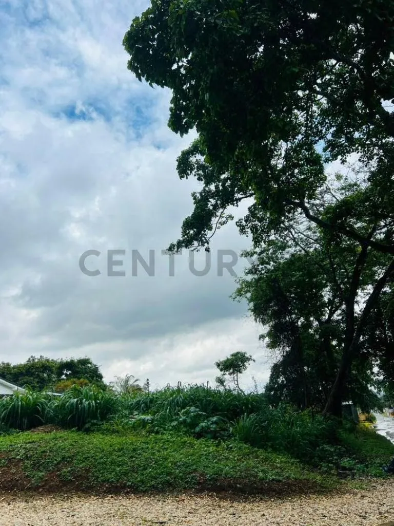 TERRENO EN COLINAS DE GUATAPARO - 4