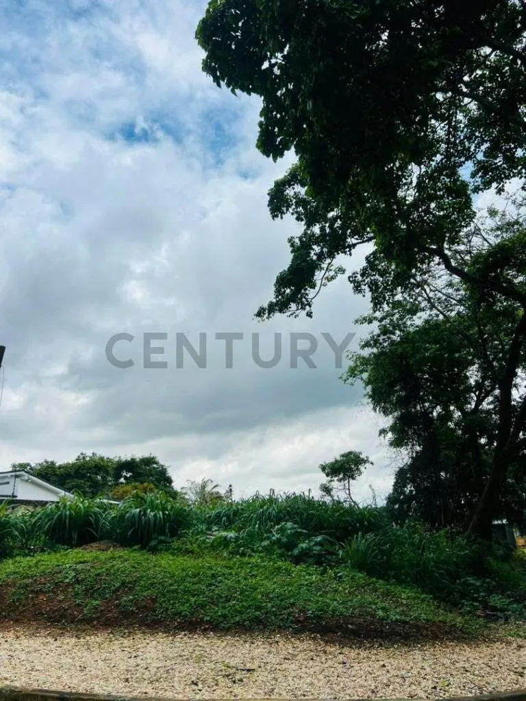 TERRENO EN COLINAS DE GUATAPARO - 5