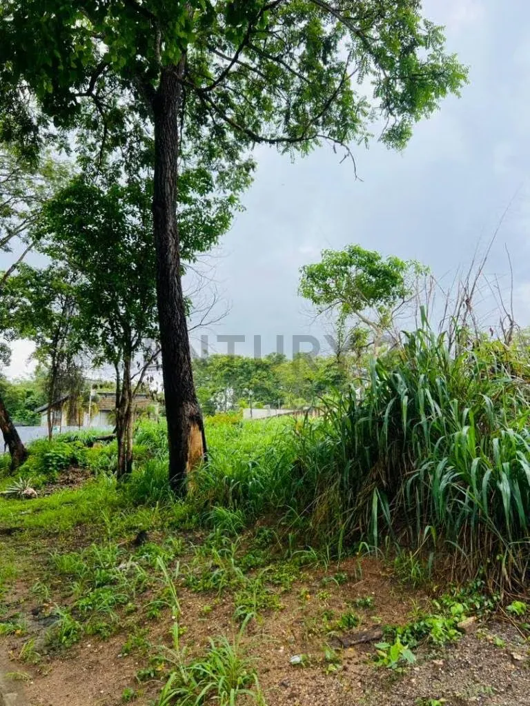 TERRENO EN COLINAS DE GUATAPARO - 8