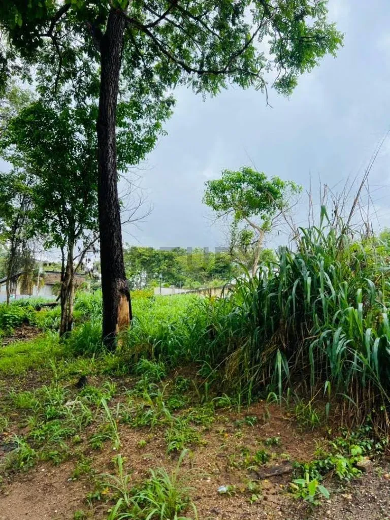 TERRENO EN COLINAS DE GUATAPARO - 10
