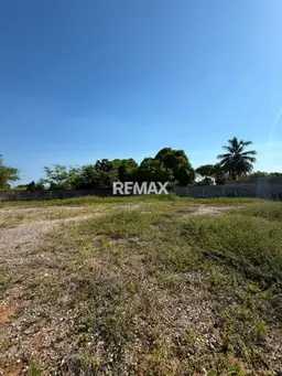 View 4