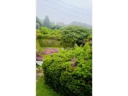 View 4