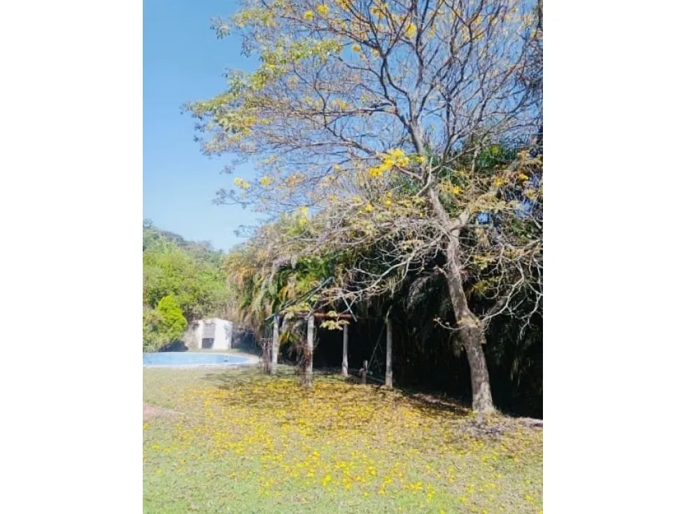 VENTA DE CASA CON TERRENO JUNQUITO, 1254,58 M2 4HAB, 2 Baños - 5