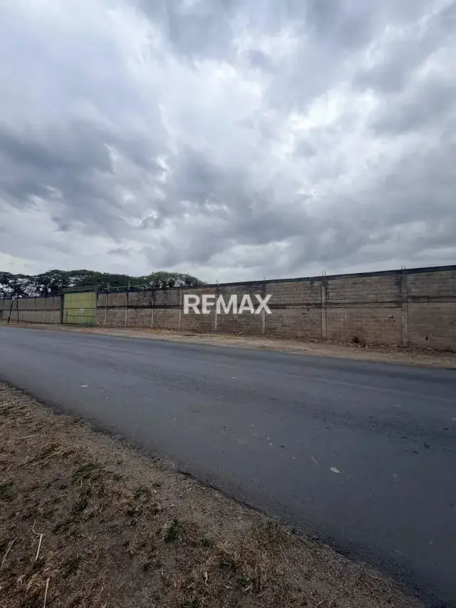 Terreno en venta Santa Cruz