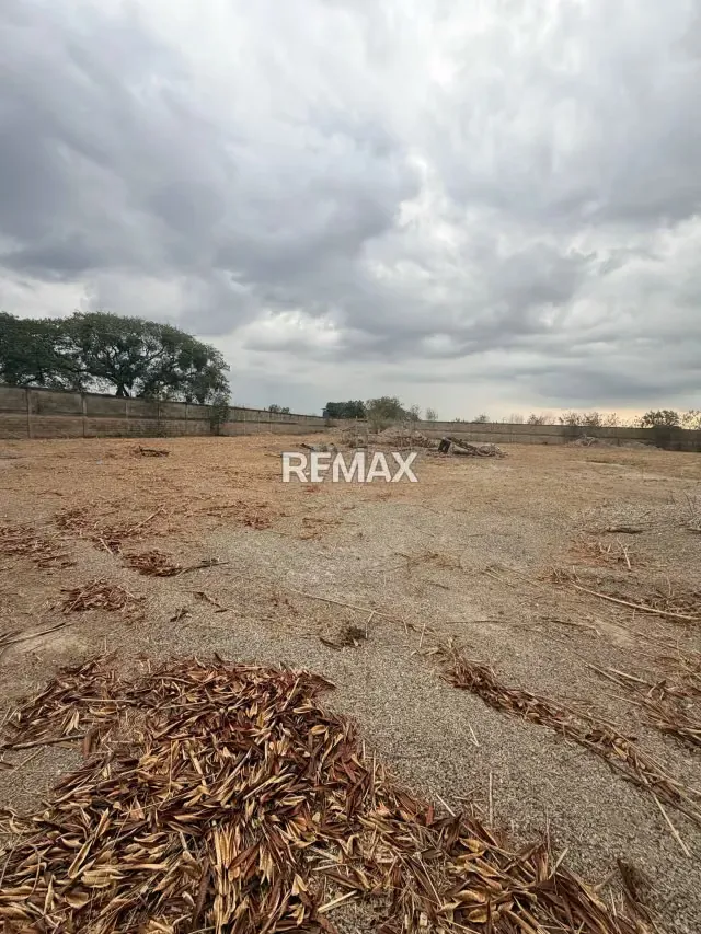 Terreno en venta Santa Cruz - 6