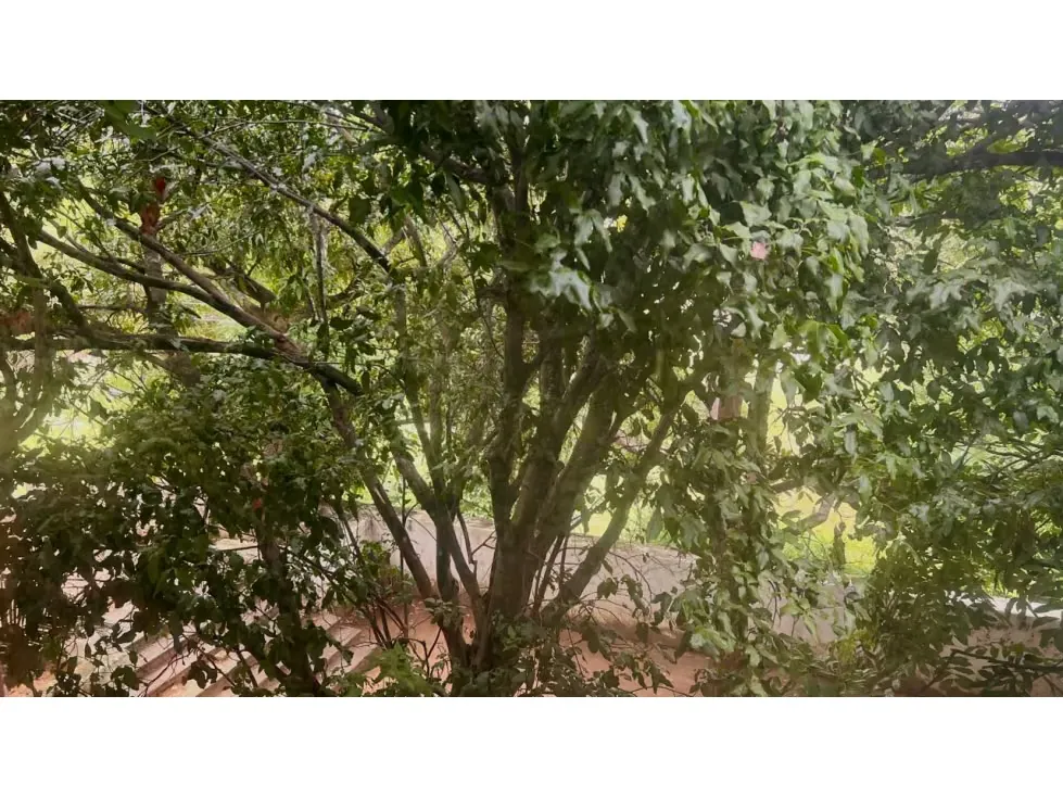 Venta/Valle Arriba/2 terrenos indep 4072m2/casa 1000m2/ calle cerrada - 9