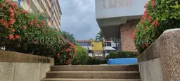 View 33