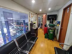 Vista 5